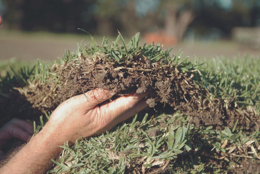 Active Turf Supplies - Buy freshly cut turf, direct from the farm